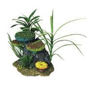 Br Anemone Cluster With Plants Best Price