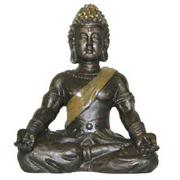 Br Aq Kritter Ii Goddess Best Price