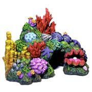Br Australia Barrier Reef Best Price