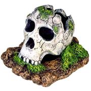 Br Broken Skull - Small Best Price