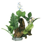 Br Chestnut With Plants Best Price