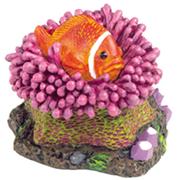 Br Clown Fish In Anemone (3Pc) Best Price