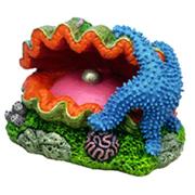 Br Giant Clam Best Price