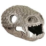 Br Gila Monster Skull Best Price