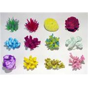 Br Minicoral Prepack #1 (12Pc) Best Price