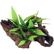 Br Mopani Wood Silk Plants Best Price