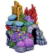 Br Red Sea Coral Hideaway Best Price