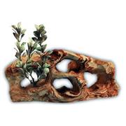 Cc Buckingham Aquatic Rock Best Price
