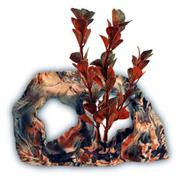 Cc Surrey Aquatic Rock Best Price