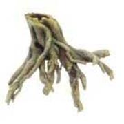 Osi Smooth Bark Tree Stump Best Price