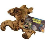 PetCareRx.com Zoo Mopani Wood