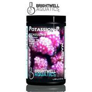 Bwell Potassion Best Price