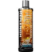 Bwell Replenish Liquid Best Price