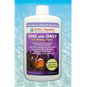 Dt One and Only Reef Best Price