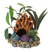 Br Fire Coral Cave With Plants Best Price