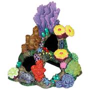 Br Indonesian Reef Cavern Best Price