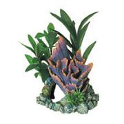 Br Purple Ridge Coral W/Plants Best Price