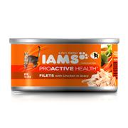 Iams Cat Filet Chicken/Gravy Canned Food Best Price