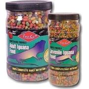 Juvenile Iguana Food Best Price