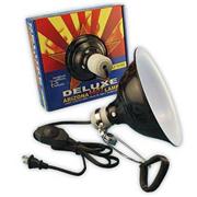 Cc Clamp Lamp W/Dimmer Best Price