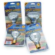 Fluk Halogen Spot Lamp Best Price