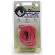 C Nyl Rabbit Harness and Lead Best Price