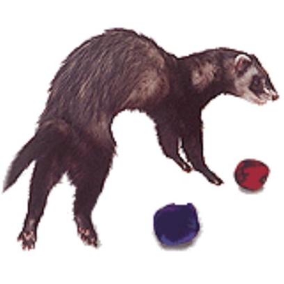 Marshall Presents Polar Fleece Bell Ball Toy. A Soft Fleece Ball with a Bell in the Center will Provide your Pet with Hours of Fun and Entertainment. [14791]