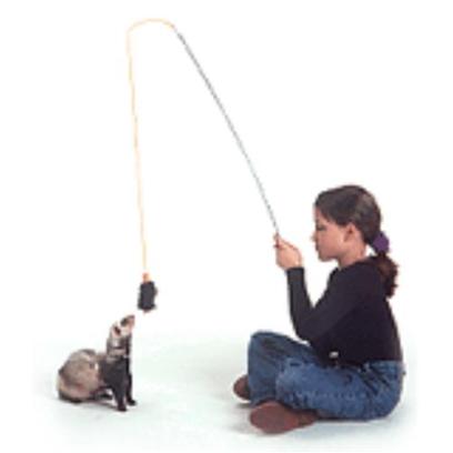 Marshall Presents Ferret Teaser Fleece Toy. Fantastic Interactive Toy for Ferrets and Owners. Soft Fleece Toy with Bell Inside is Attached to String and Flexible Toy. New Compact Design. Pole Sections Snap Together. [14792]