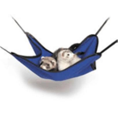 Buy Ferret Accessories products including Zzz Suede Ferret Hammock, Zzz Soft Suede Ferret Tunnel, Zzz Ferret Sleep Sack, Zzz Soft Suede Ferret Cuddle Bed, Simple Sleeper Ferret Hammock Category:Pet Supplies Price: from $6.99