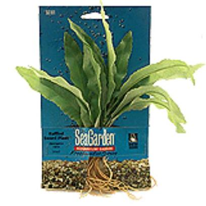 Penn Plax Presents Seagarden Aponogeton Stands 10''. Fill your Aquarium with the Look of Live Plants, without the Work, Maintenance, or Expense. [15038]
