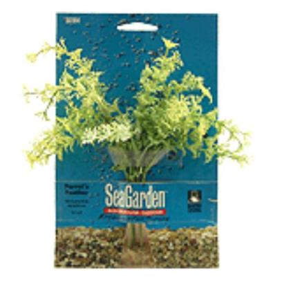 Penn Plax Presents Seagraden Parrot Feather Stands 13''. Natural Looking Plastic Plants Add Beauty and Realism to all Aquariums. [15044]