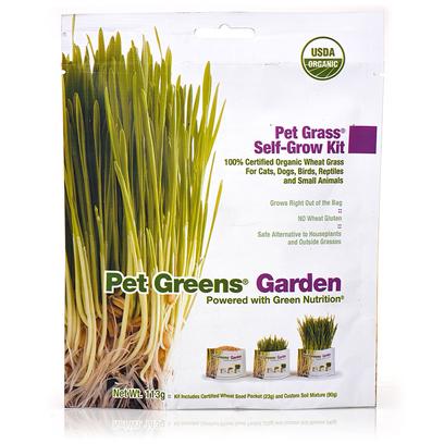 Bellrock Growers Presents Pet Greens Garden Self Grow Grass Kit. Grow your Own Luscious, Healthy Organic Greens Right out of the Bag. No Green Thumb Required! Contains only the Finest Quality Seed in Custom-Blended 100% Certified Organic Wheat Grass Soil to Enhance Nutrients and Flavor Grows in 7-10 Days Unlike Most Self-Grow Kits, Pet Greens Garden is Developed for all Pets - not just for Cats Safe Alternative to Potentially Harmful Houseplants and Chemically Treated Outside Grasses [17522]