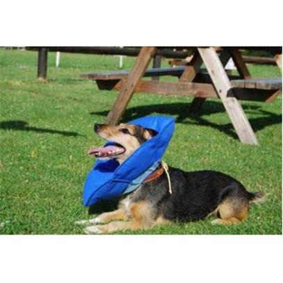 Mdc Softe Pet Smart Collar Recovery Collar/cone Size 1 Extra Small(cat Friendly)