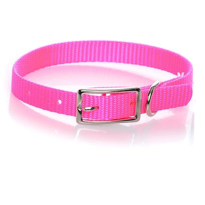 Coastal Presents Nylon Collar 3/8'x10'-Neon Pink C Nyl 3/8'x10' Npk. This Collar Consists of 3/8" Nylon and is Best Suited for Cats, Puppies, and Other Small Pets. Coastal's High Quality Nylon is Specially Processed to Prevent Fraying and Increase the Strength. All Nylon Products are Carefully and Neatly Finished for Comfort, Appeal and Durability. [26766]