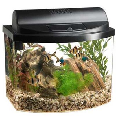 Aqueon Presents Aqueon Mini Bow Desktop Aquarium Kit 5.0gallon. A Fish Home with Style this Aquarium Kit is a Great Choice for First-Time Fish Owners or Anyone Looking for a Compact Display. The Stylish, Space-Saving Design Offers Maximum Viewing with a Unique Acrylic Bow-Front Tank that Provides Ample Room for Small Fish to Swim. Each Kit Includes a Filter, Full Lighted Hood with Feeding Door, Aqueon Water Conditioner, Aqueon Tropical Flakes, and a Set-Up and Care Guide. Just Add Gravel, Plants, and Fish to Enjoy this Easy-to-Maintain Aquarium. [28489]