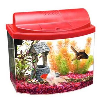 Aqueon Presents Aqueon Mini Bow Kit Red 5.0gal with Filter. All-Glass Aquarium Offers Several Stylish Bow-Front Acrylic Aquariums for Maximum Viewing in a Space-Saving Design. With Many Color Choices and Sizes, there is a Minibow for Nearly Every Space and Decor Such as a Child's Room, Family Room, Recreation Room, Kitchen Counter Spaces or an Office. These Aquarium Kits Include a Filter, Full Hood with Light and Base. Just Add Gravel, Plants and Fish to Enjoy these Colorful, Easy-to-Maintain Starter Aquariums. [28495]