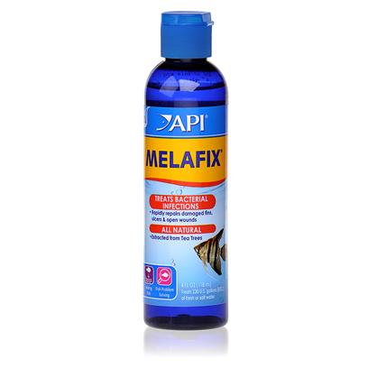 Aquarium Pharmaceuticals Presents Aquarium Pharmaceuticals (Ap) Melafix Liquid Remedy 4oz Treats 236 Gallons. Heals Open Wounds & Abrasions; Promotes Regrowth of Damaged Fin Rays & Tissue; Treats Fin & Tail Rot. Will not Adversely Affect the Biological Filter, Alter the Ph or Discolor Water. Safe for Reef Aquariums & Live Plants. For Use in Fresh or Salt Water. [29093]