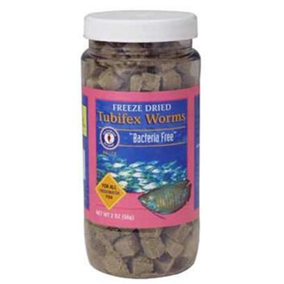 San Francisco Bay Brand Presents San Francisco Bay Brand (Sf) Freeze Dry Tubifex Worms Dried 56gm. Gamma Radiated, Free of Parasites and Harmful Bacteria. Excellent Growth Enhancer for Freshwater Fish. All Freshwater Angels, Discus, Barbs, Cichlids, Gouramis, Live Bearers, Loaches, Eels, Catfish, Tetras, Sharks & Silver Dollars. [29709]
