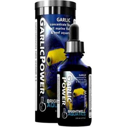Brightwell Aquatics Presents Brightwell Aquatics (Bwell) Garlic Power Concentrated Supplement 2oz 60ml. • Delivers the Nutritional Benefits of Raw Garlic to Fishes Primarily by Being Applied to their Food. • Consists Solely of Preserved Extract of Raw Garlic with a Small Amount of Vitamin-C as a Preservative. • does not Require Refrigeration. • Formulated by a Marine Scientist. [30798]
