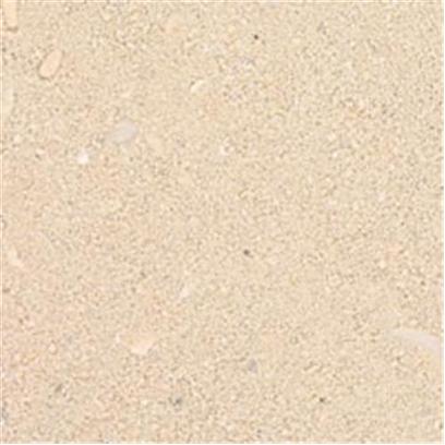 Carib Sea Presents Carib Aragamax Sand 30lb. Caribsea Aragonite Products Nobody Puts as Much Effort into Bringing you the Quality and Selection of Aragonite Products as Caribsea Does. All of our Substrates are Scientifically Sound and Proven Products. Aragonite, Purposely Engineered and Free of Impurities Such as Ash, Metals, Pesticides, and Silica; Allows you to Create a Safe and Beautiful Environment for your Fish and Invertebrates. Why Take Chances with Other Brands? Aragamax Sugar Sized Sand™ - this Oolitic Sand is Ideal for Shallower Beds, Allowing Denitrification in as Little as 1' Depth. The Fine Grain Size can Pass Easily through the Gills of Gobys and Other Sand Sifting Organisms. The Naturally Spherical Grains are Gentle to Sharks and Rays. Grain Size 0.1 - 1.0 Mm. 30 Lbs [31210]