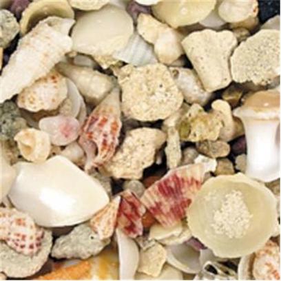 Carib Sea Presents Carib Aruba Shell 18lb. Actual Sea Floor Mix Taken from Ocean Depths-Mix of Sand & Shells [31214]