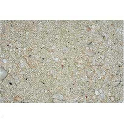 Carib Sea Presents Carib Ocean Direct Natural Live Sand 40lb. All New Ocean Direct™ Live Sand Simply Natural - Enjoy this Real Caribbean Live Sand in a Breathable Bag with no Added Chemicals or Special Processing. Simply Effective - Ocean Direct™ is Different than all Other Live Sand Products on the Market. This Live Sand Utilizes Patent Pending Sea Breathe Laser Technology which Preserves Real Live Sand with its Own Original Bacteria. Every Bag of Ocean Direct™ is Alive and Breathing with Up to 1000 Times More Beneficial Bacteria than Other Preservation Methods. Every Grain of Ocean Direct™ is Coated with Bacteria and Encapsulated by Capillary Action in a Thin Film of Real Ocean Water. The Thin Film is Open to the Atmosphere for Unparalleled Gas Exchange. This Results in High Counts of Natural and Beneficial Bacteria with no Noxious Buildup of Metabolic Y-Products. Each Bag Includes a Packet of Bio-Magnet™ Clarifier to Reposition the Free Floating Bacteria to where they are Most Active; Sand Beds, Surfaces of Live Rocks, and to Biological Filtration Media. Ocean Direct™ Provides you with a Thriving, Natural Aquarium in Minutes! Simply Perfect - Ocean Direct™ Supplies the Perfect Union of Physics and Biology! [31224]