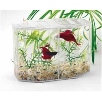 Lee's Presents Lees Dual Betta Keeper Mini. Divided Tank Encourages Neighborly Love though a Single Betta in a Bowl is a Striking Sight, these Fighters have Territorial Tendencies that Make Owning Several of them Difficult to Manage. But Now you can House your Fish Together with Lee’S Dual Betta Hex Tank. A Removable Divider Separates the Rival Fish in a Single Tank. This Allows Betta Aficionados to Maximize Space in their Homes and Display the Gem-Tone Fish Side by Side. The Tank’S Modular Design is Perfect for Stacking, and Comes with Everything you Need to Ready your Betta Duplex for Instant Move-In. Just Add Water, then Introduce your Fish to their New Home! [32378]