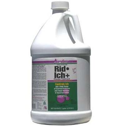 Kordon/Oasis Presents Kord Pond Rid Ich 16oz. Kordon's Ridich+ is a Combination of Two Powerful Medications which have been Scientifically Proven Effective in the Control of Many Diseases of Fishes Caused by Freshwater External Parasites Such as Ichthyophthirius (White Spot Disease), Costia, Trichodina, Chilodonella and Saltwater External Parasites Such as Cryptocaryon and Amyloodinium. The Medication can also Treat Fungal Infections in Fishes. [32697]