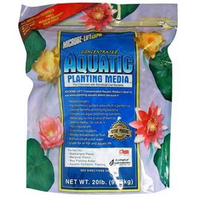 Buy Planting with no Water products including Blue Ribbon (Br) Plant Broad Leaf Cluster Large, Blue Ribbon (Br) Plant Amazon Butterfly Large, Blue Ribbon (Br) Plant Broad Leaf Cluster Mini, Blue Ribbon (Br) Plant Broad Leaf Cluster Small, Blue Ribbon (Br) Plant Broad Leaf Cluster Medium Category:Water Treatment Price: from $3.99