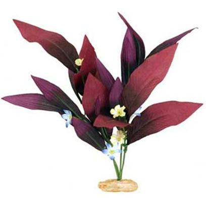 Blue Ribbon Presents Blue Ribbon (Br) Plant African Sword Large. Color Burst Silk-Style Plant African Sword Plant W/Flowers. Available in Other Sizes. Plum Large [33244]