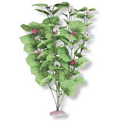 Blue Ribbon Presents Blue Ribbon (Br) Plant Broad Lily Leaf X-Large. Br Colorburst Plant Xlarge 18 to 19" Tall - Broad Lily-Leaf with Flowering Buds with Soft Silk-Style Flowers & Leaves that Sway Naturally in Water. [33254]