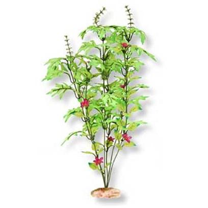 Blue Ribbon Presents Blue Ribbon (Br) Plant Melon Leaf Cluster Plant-Melon Large Gr/Yw. Br Colorburst Plant Medium 9 to 10" Tall - Melon Leaf Cluster Flowering Buds, has Silk-Style Flowers & Leaves that Sway Naturally in Water. [33286]