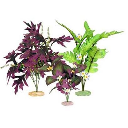 Blue Ribbon Presents Plant-South American Flowering Cluster Multipack. Color Burst Silk-Style Plants - Medium Value Pack - South American Flowering Cluster Includes 1 Each of the Following Fountain Fern W/Buds-Medium Amazon Butterfly Leaf W/Buds-Medium South American Rift Cluster W/Flowering Buds-Medium [33296]