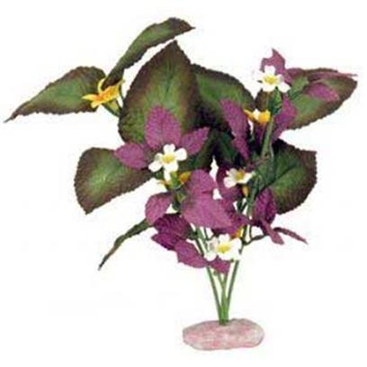 Blue Ribbon Presents Plant-South American Rift Cluster with Buds (Plum) Small. Br Colorburst Plant South American Rift Cluster with Soft Silk-Style Flowers & Leaves that Sway Naturally in Water. [33300]
